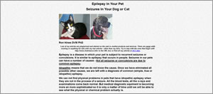 2ndchance.info Epilepsy in Your Pet