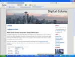 Digital Colony