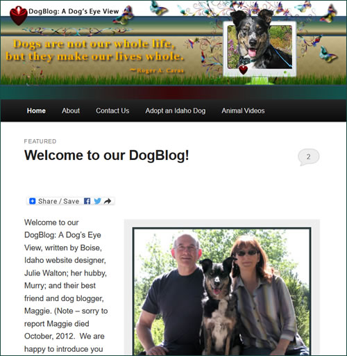 Dog Blog - A Dog's Eye View