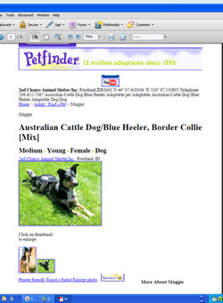 Found our dog on PetFinder