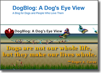 A Dog's Eye View Bog