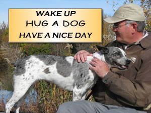 Wake up hug a dog
